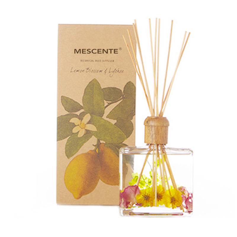 Bán buôn chất lượng cao Sang trọng Tùy chỉnh Nhãn hiệu riêng Hoa Sola Wood Aroma Máy phun tán sậy có hộp