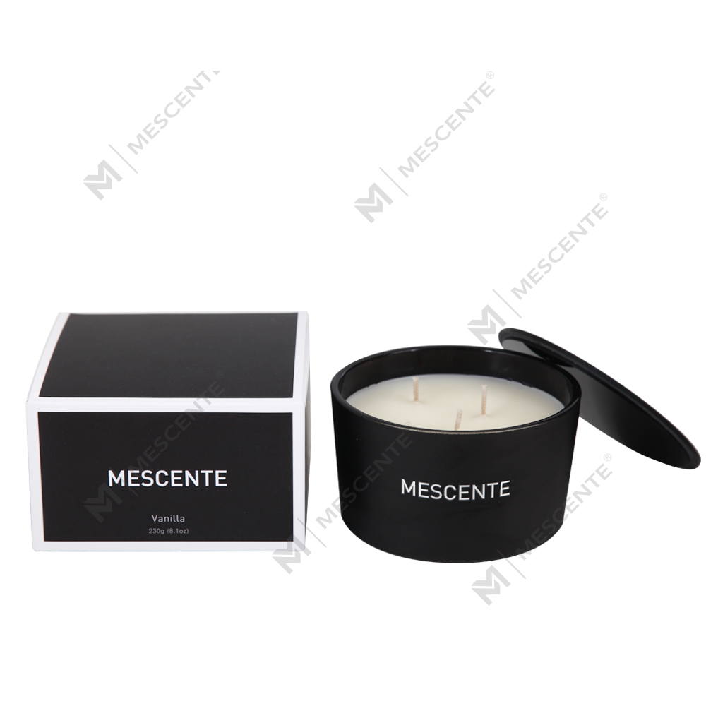 Mescente Bán buôn Nhãn hiệu riêng Bình thủy tinh 3 bấc Nến thơm sáp đậu nành 100%