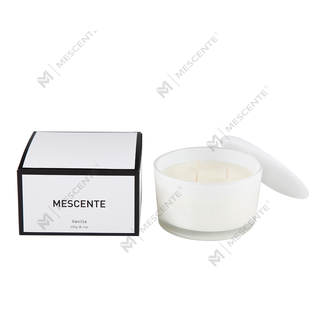 Mescente Bán buôn Nhãn hiệu riêng Bình thủy tinh 3 bấc Nến thơm sáp đậu nành 100%