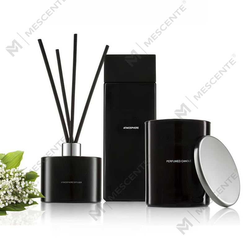 Nhãn hiệu riêng Chai mờ màu trắng Dầu thơm khuếch tán sậy có hộp A29148