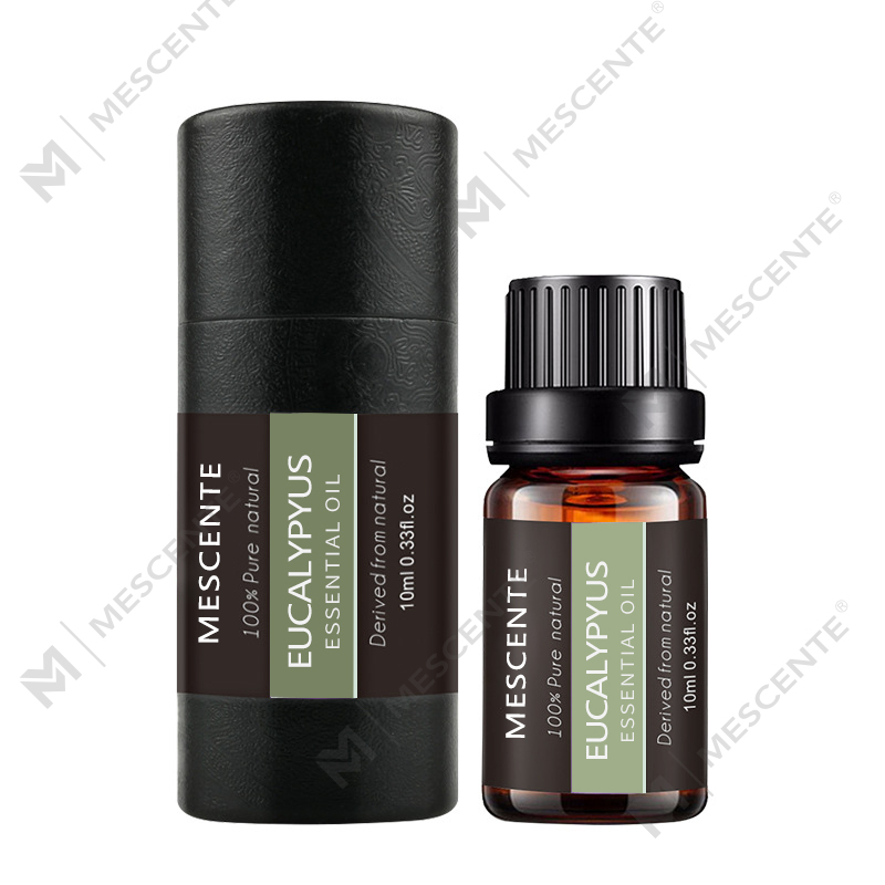 M&Scent Designer Máy khuếch tán sậy số lượng lớn tự nhiên hữu cơ Khách sạn Trang chủ Nước hoa nam Dầu thơm lâu trôi