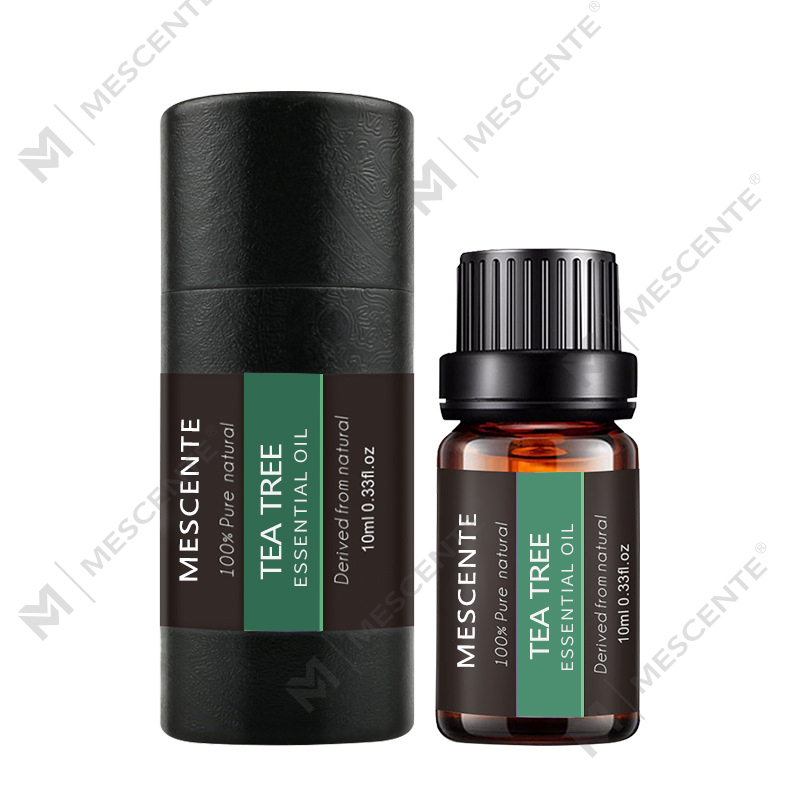 M&Scent Designer Máy khuếch tán sậy số lượng lớn tự nhiên hữu cơ Khách sạn Trang chủ Nước hoa nam Dầu thơm lâu trôi