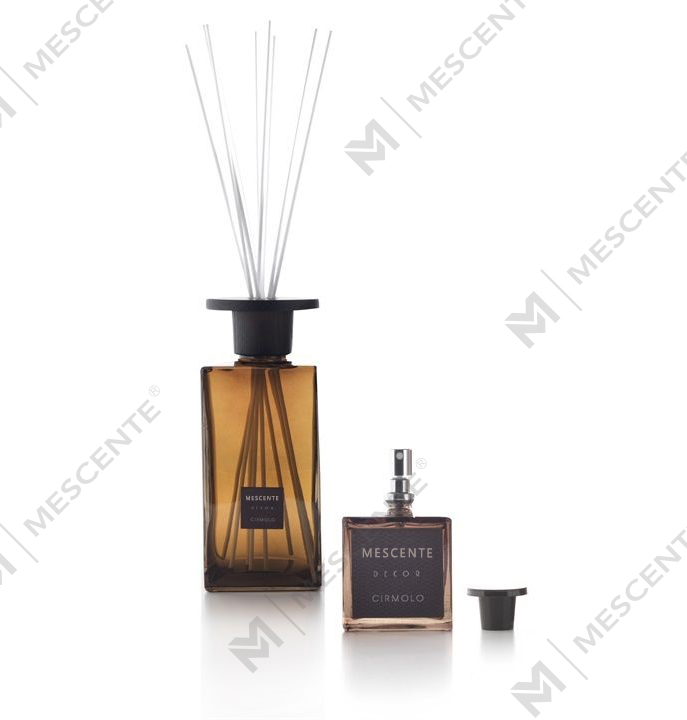 Bộ khuếch tán sậy bồ công anh trắng 2pk 120ml, bộ khuếch tán sậy nhãn hiệu riêng