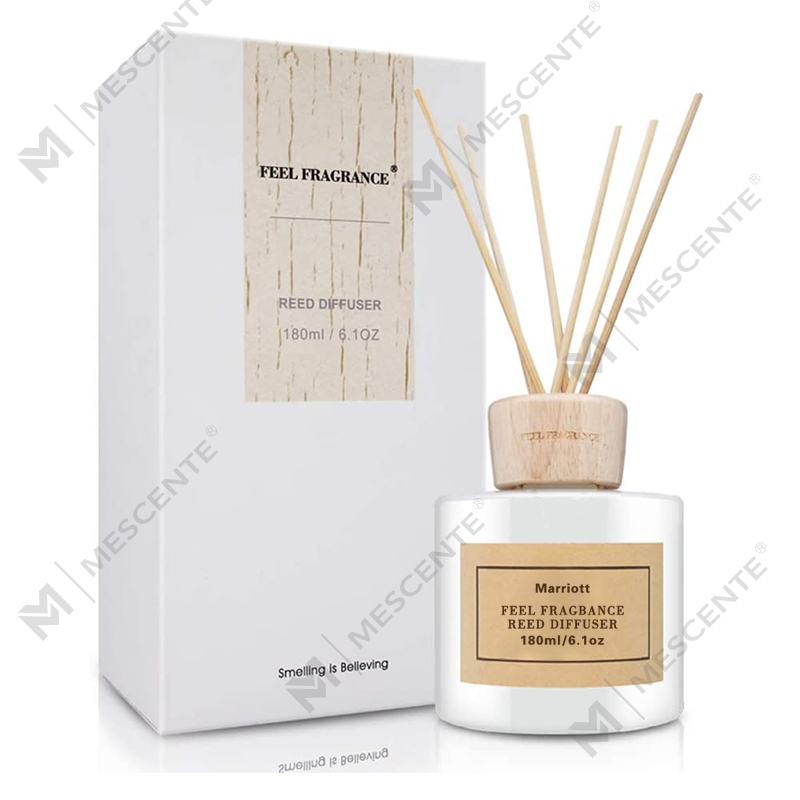 Nguồn gốc của máy khuếch tán Reed